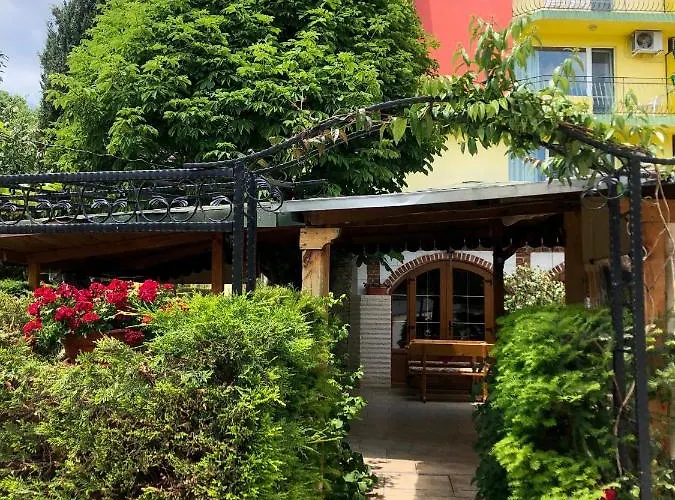 Jambo Золотые Пески