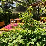 Hotel Jambo